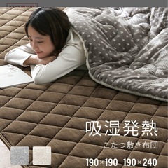 カーペット（コタツ敷布団）の画像