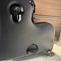 【三連休限定】キッズトラベル　キャリーの画像