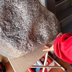 No.080フェイクストーン　軽い！　40さんち４０センチの画像