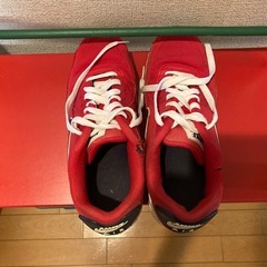 NIKE AIR25.5センチの画像