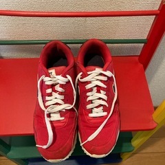 NIKE AIR25.5センチの画像