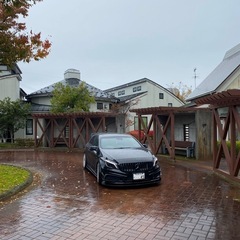 早い者勝ちです。状態凄く良いです！の画像