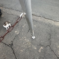 アルミ製三脚脚立　7段 220cmの画像