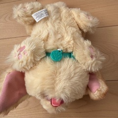 わんことおうち　タカラトミー　おうちと犬のぬいぐるみセットの画像