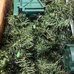 クリスマスツリーの画像