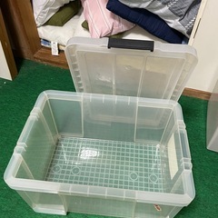 ソフィア　収納ケースの画像