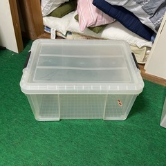 ソフィア　収納ケースの画像