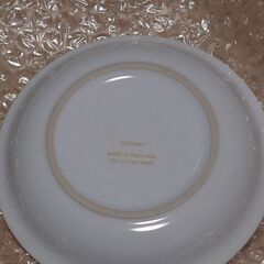 ディズニー　スーベニアプレート2種の画像