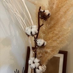 ドライフラワー、花瓶の画像