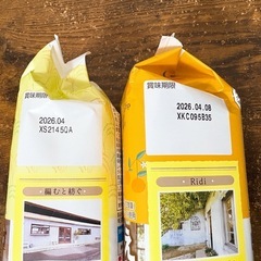 チョコパイ プチケーキの画像