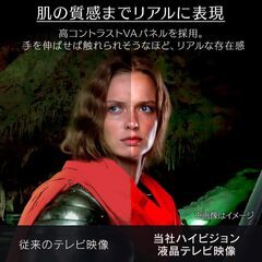 IRIS OHYAMA ハイビジョン液晶テレビ 24WB10 美品 24インチ ブラック 裏番組録画対応 ダブルチューナー リモコン・miniB-CAS付の画像