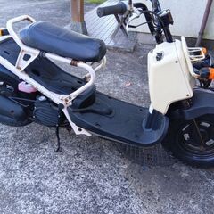 ズーマー50cc
