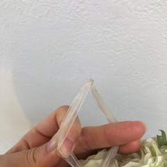 インテリア　フラワー　ボール　吊るしの画像