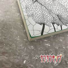 秦恒平 湖の本 148 エッセイ 濯鱗清流 4 読み 書き 読書の画像