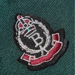 小型犬　ペットウェア　XSの画像