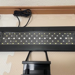 LEDライトの画像
