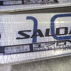 Salomon Demo 10 2V Pilot 170cm スキー板 ビンディング 現状品 サロモン 札幌市北区屯田の画像