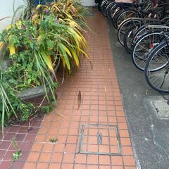 【梅島駅】 【月約2万円】【週2日(曜日指定なし)×2時間(時間指定なし)】マンション清掃/未経験者可～日払い可(梅島2)の画像