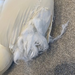 ハグミンの画像