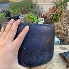 鉢風廃タイヤ（紫陽花）の画像