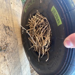 鉢風廃タイヤ（紫陽花）の画像