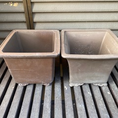 植木鉢　盆栽　セットの画像