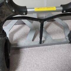 キャリーの画像