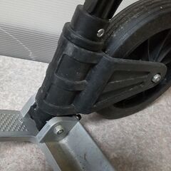 キャリーの画像