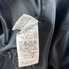 ダウンコート　ジャーナルスタンダードの画像