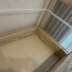 ココネルエアーの画像