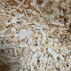 【譲渡先確定】ヒノキ　おがくず  １６０サイズ１.７箱分➕おまけ の画像