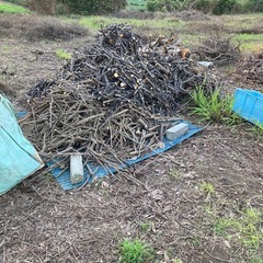 山盛り　ある程度細かくカット済み🪵薪　薪ストーブ、サウナ、燃料に　の画像