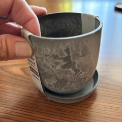 受け皿付き　植木鉢🪴の画像