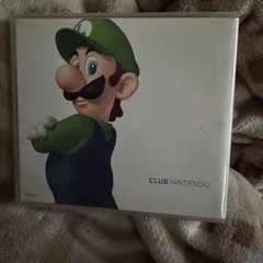 DSソフトケースの画像