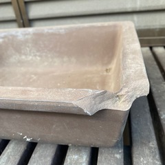 植木鉢　盆栽の画像