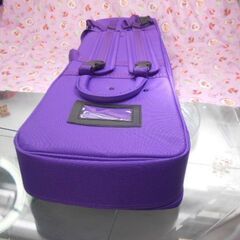R新品未使用　4.980円　沖縄三線専用ソフトケース４色からお一つ選択の画像