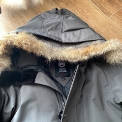 カナダグースの画像