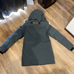 カナダグースの画像