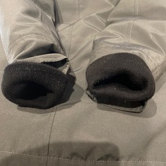 カナダグースの画像