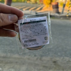 セサミストリート 缶バッチの画像