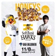 バルーナーズ✖️ソフトバンクホークスコラボユニ当選品の画像