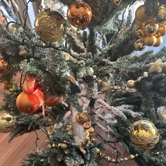 クリスマスツリーの画像