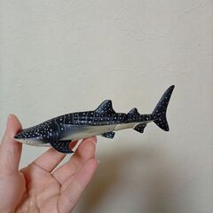 廃盤？　絶版？　ジンベイザメ　魚？　アニアの画像