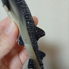 廃盤？　絶版？　ジンベイザメ　魚？　アニアの画像