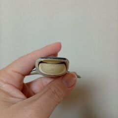 廃盤？　絶版？　ジンベイザメ　魚？　アニアの画像