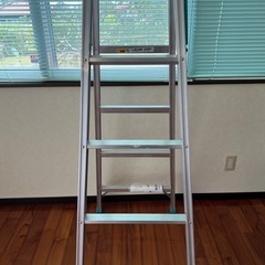 はしご兼用脚立（日軽プロダクツ）の画像