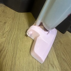 掃除機  一番くじA賞 ピスケとうさぎ カナヘイの画像