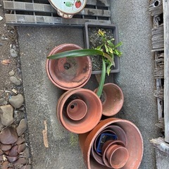 残りこれだけですの画像