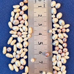 淡水パール　100粒（60cm位）　ハンドメイド素材の画像