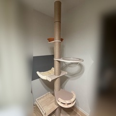 キャットタワー 突っ張り式の画像